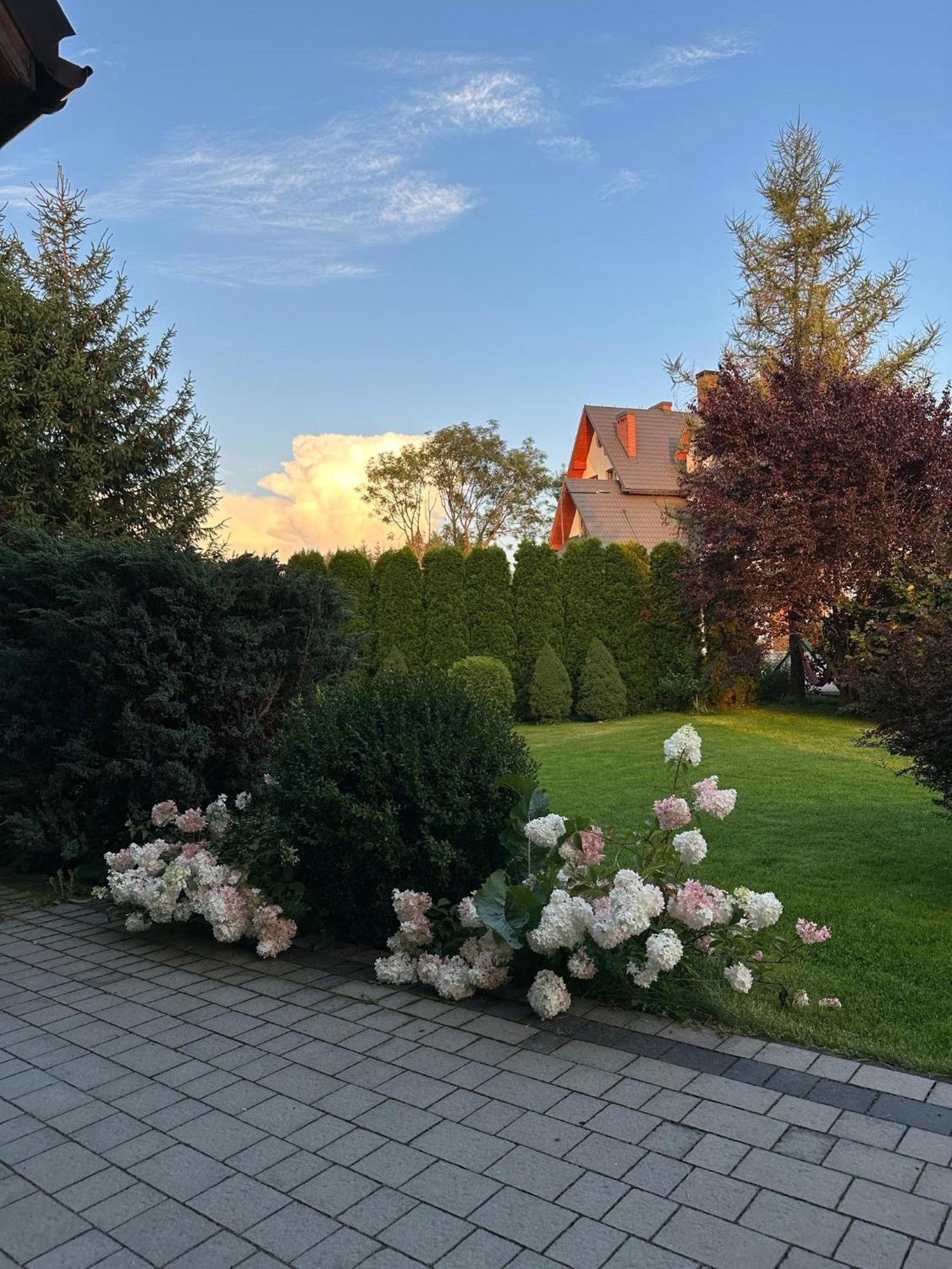 Czarna Jagoda Czarna Góra Exterior foto